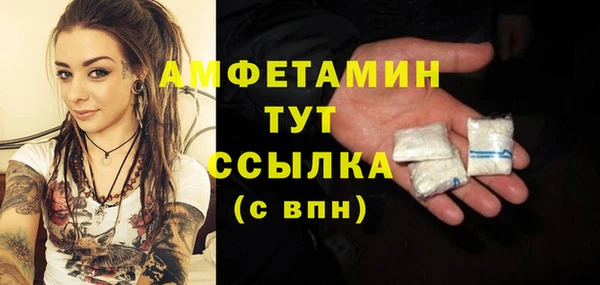 гашик Аркадак