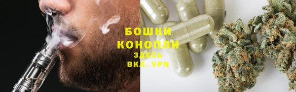 гашик Аркадак