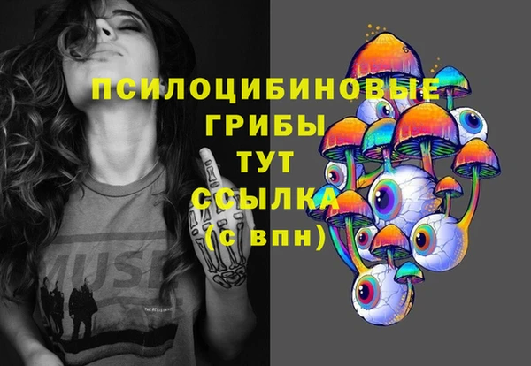 гашик Аркадак