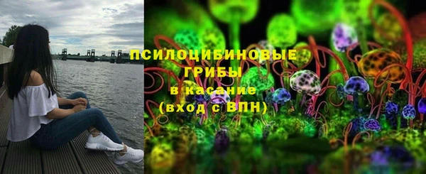 Альфа ПВП Арсеньев