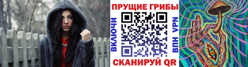 Псилоцибиновые грибы Psilocybe  что такое   Давлеканово 